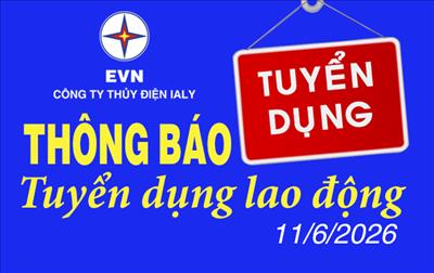 Thông báo tuyển dụng lao động (11/6/2026)