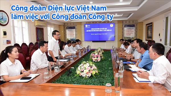 Công đoàn Điện lực Việt Nam làm việc với Công đoàn Công ty